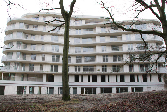 Nieuw Overbos