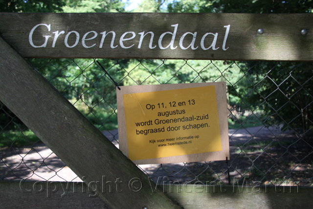 Groenendaal